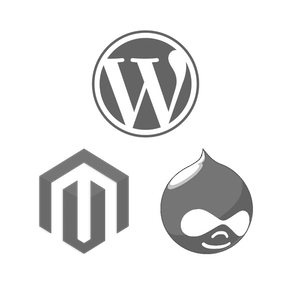 Share File Assets for WordPress, Joomla, Drupal, Magento or TYPO3 hosting with shared file system